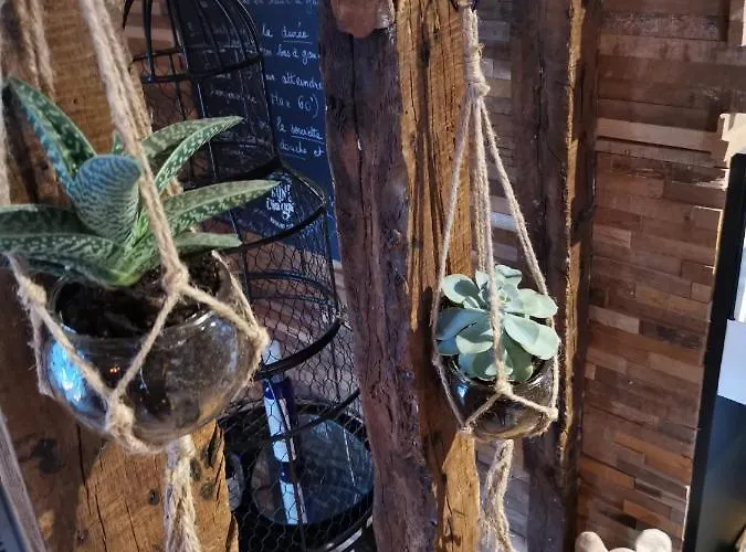 Σπίτι διακοπών Le Sauna De L'homme De Bois By Naturogite Ονφλέρ