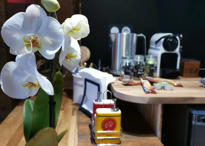 Σπίτι διακοπών Le Sauna De L'homme De Bois By Naturogite