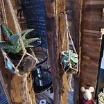Feriehus Le Sauna De L'homme De Bois By Naturogite Honfleur