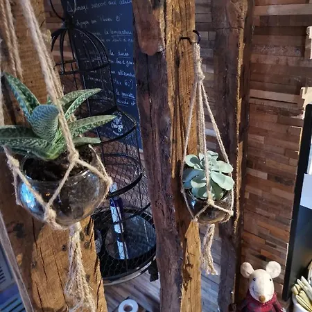 Casa de Férias Le Sauna De L'homme De Bois By Naturogite Honfleur