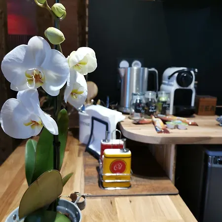 Casa de Férias Le Sauna De L'homme De Bois By Naturogite